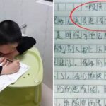 國小生作文「一段黃昏戀」爆紅網路，寫的「情真意切」，語文老師已經笑得沒力氣了