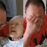 52歲兒子「帶101歲母親就醫」全程溫柔抱懷裡，候診時「聽到媽媽一句話」他當場淚崩