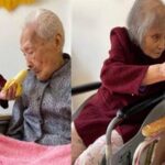 82歲女兒「餵103歲母吃飯」同住養老院，把媽媽寵成寶，「寸步不離」照顧畫面好幸福
